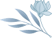 Form Icon